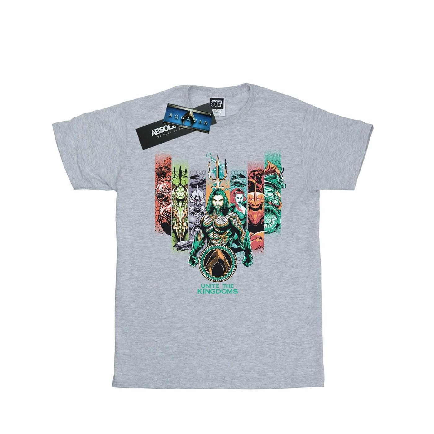 DC COMICS Unite The Kingdoms T-Shirt