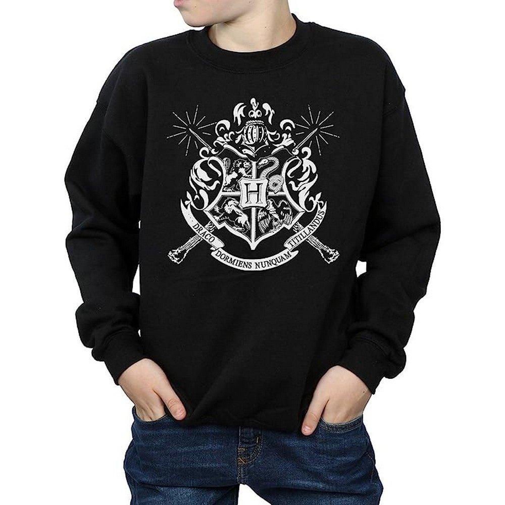 Harry Potter Sweatshirt