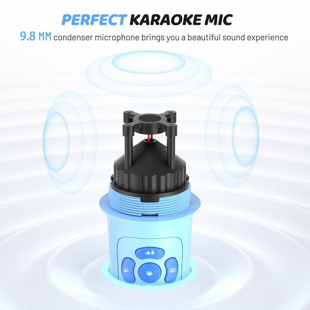 Maono Karaoke Box KM100