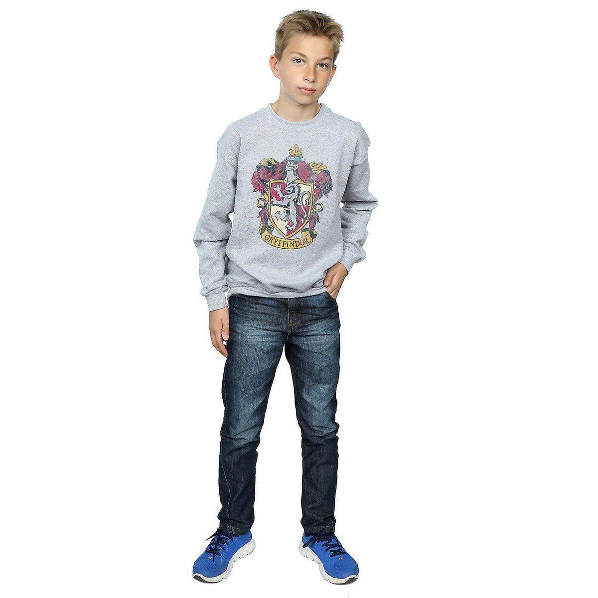 Harry Potter Sweatshirt