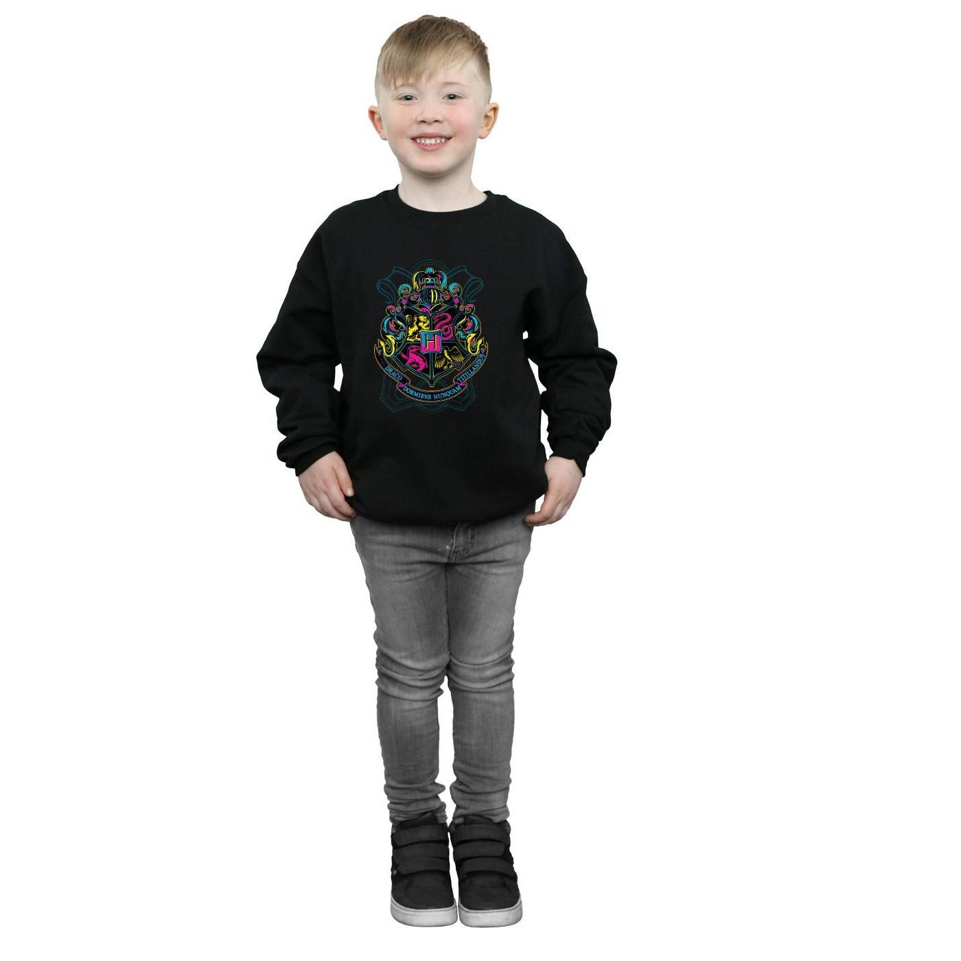 Harry Potter Hogwarts Sweatshirt