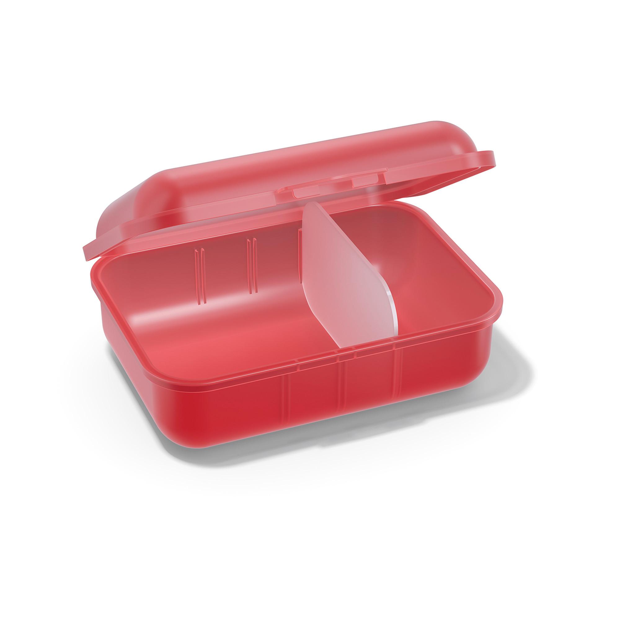 SIGG Lunchbox Horses