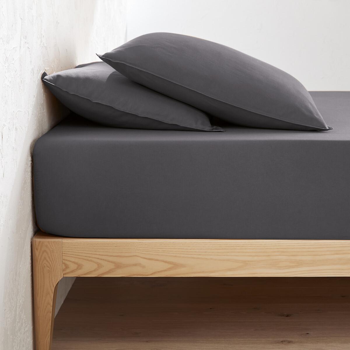 La Redoute Intérieurs Fixleintuch Scenario aus vorgewaschener Baumwolle