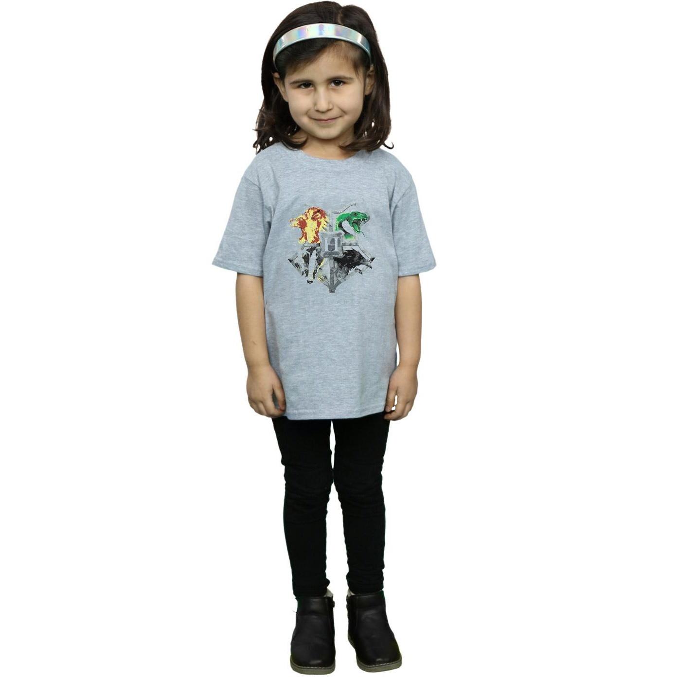 Harry Potter Hogwarts TShirt