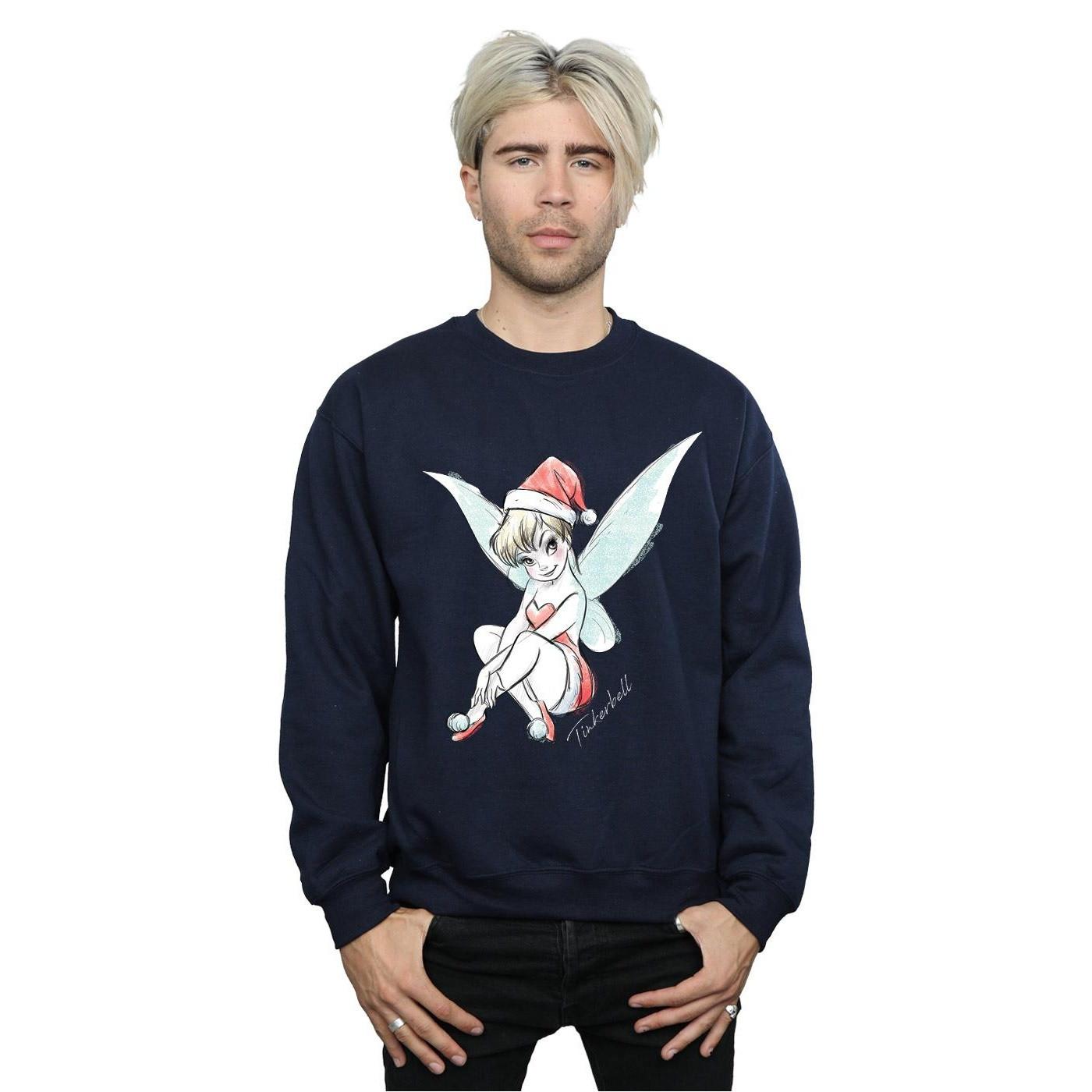 Disney Fairy Sweatshirt