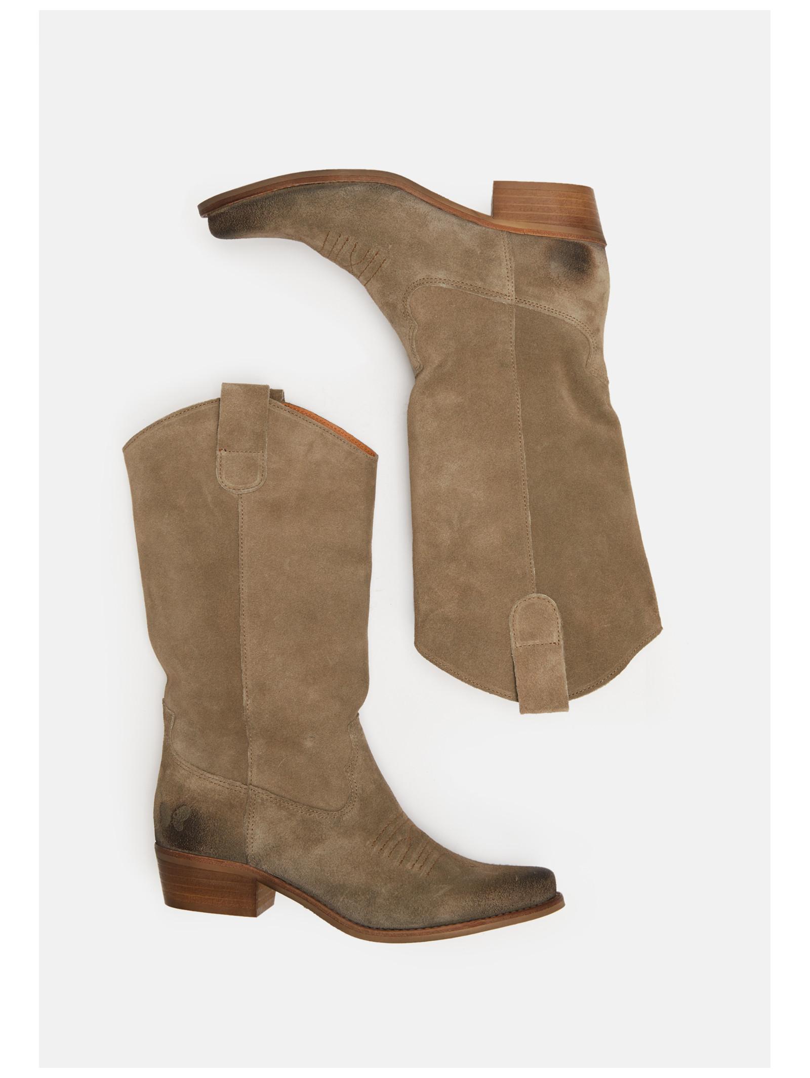 Felmini Stiefelette GERBERA