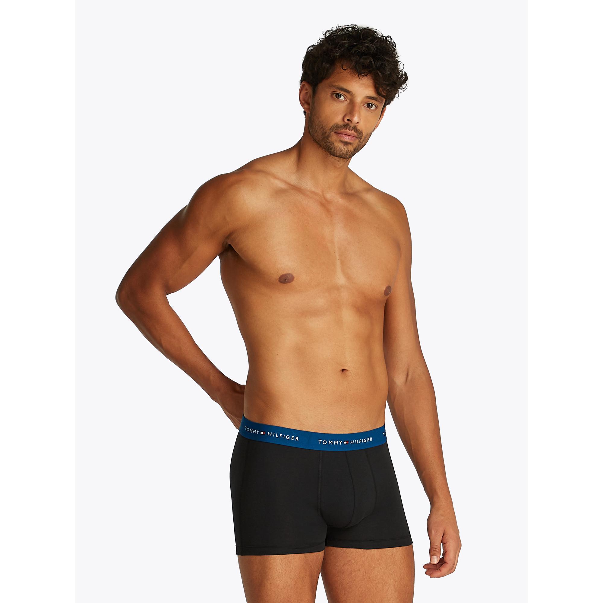 TOMMY HILFIGER 3P Trunk Triopack, Pantys