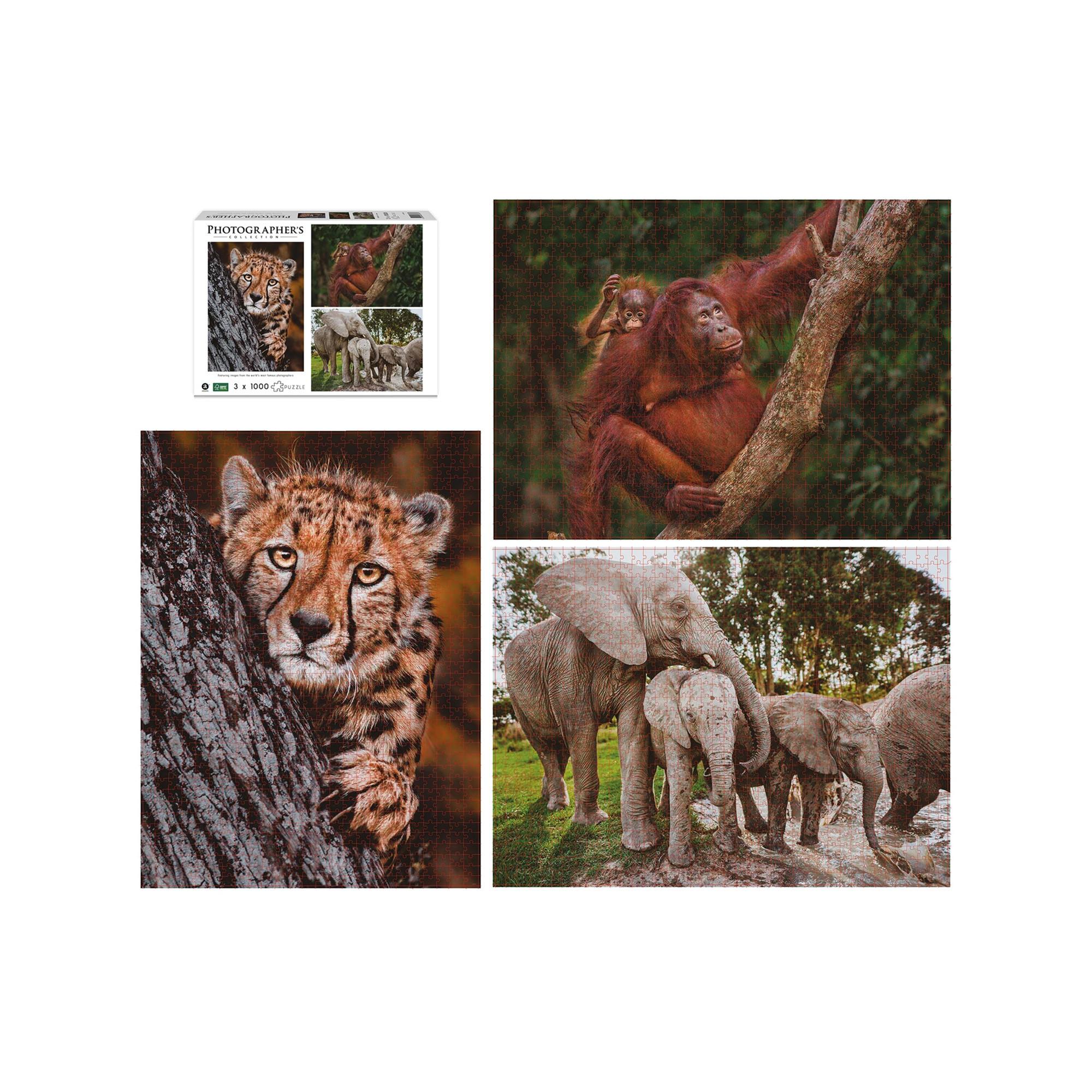 Merchant Ambassador Puzzle Wildtier Familien, 3 x 1000 Teile