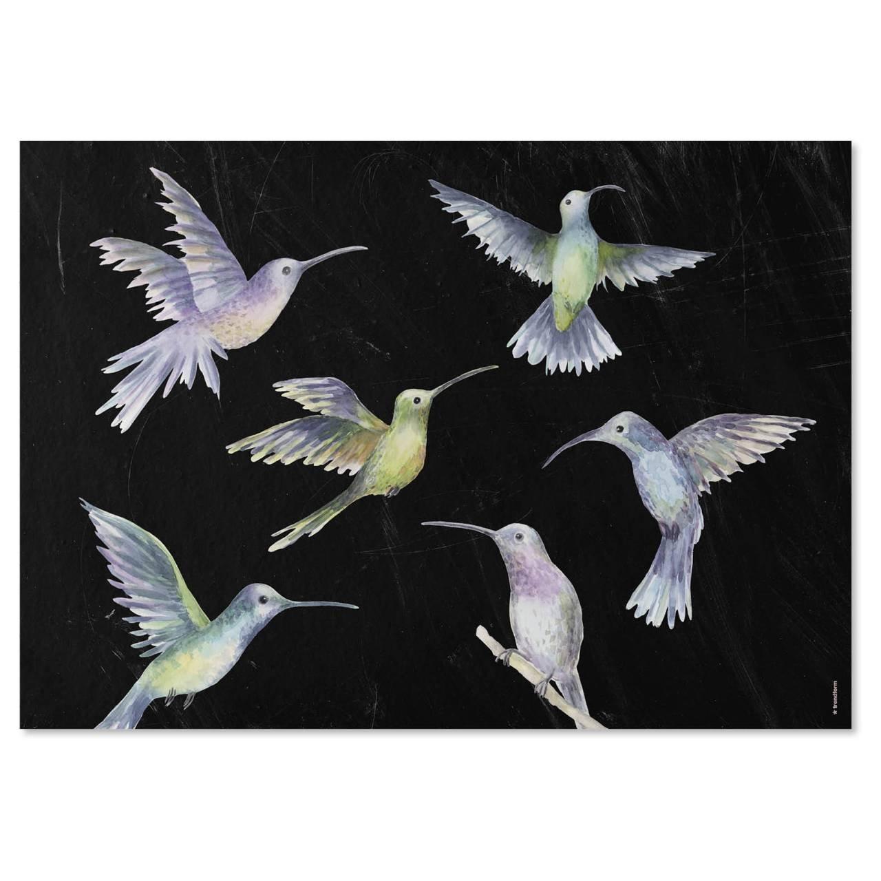 trendform Papiertischset FLY AWAY 4 Sujets à 12 Blatt