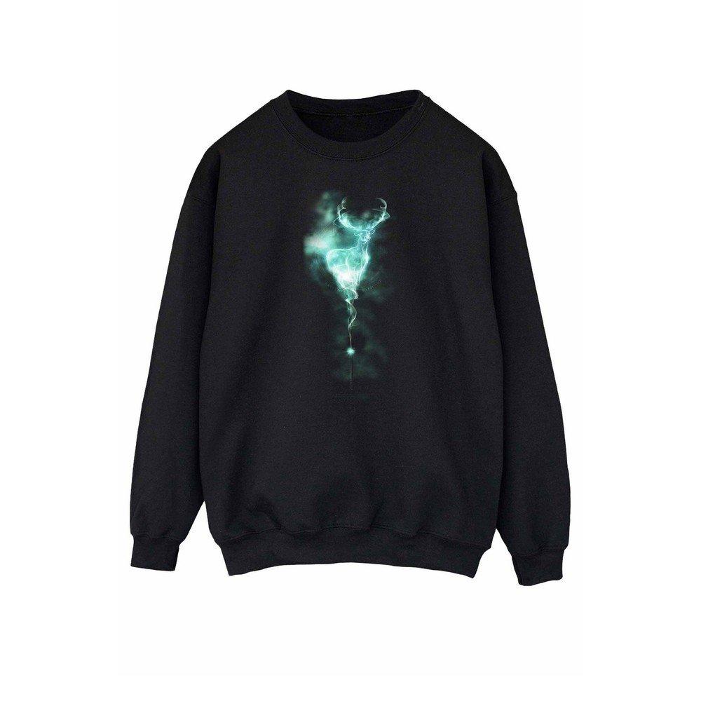 Harry Potter Sweatshirt