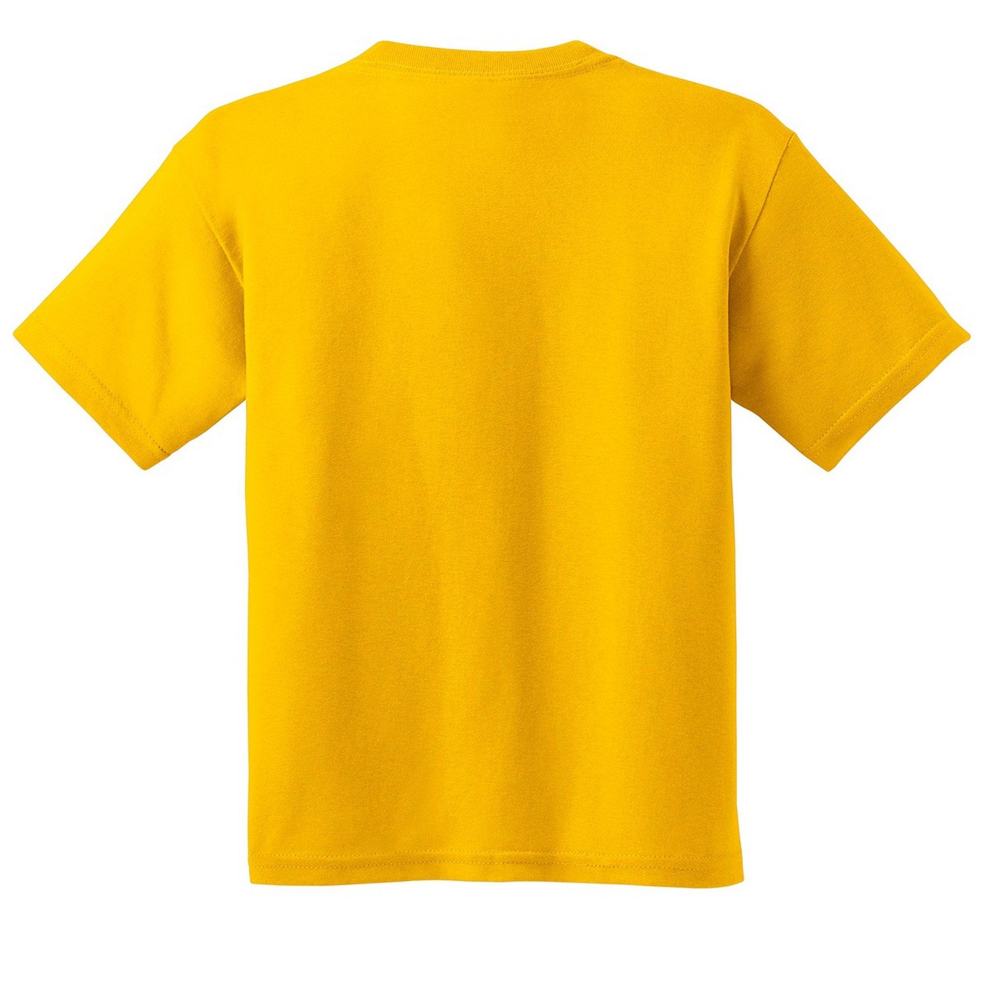 Gildan TShirt (2 StückPackung)