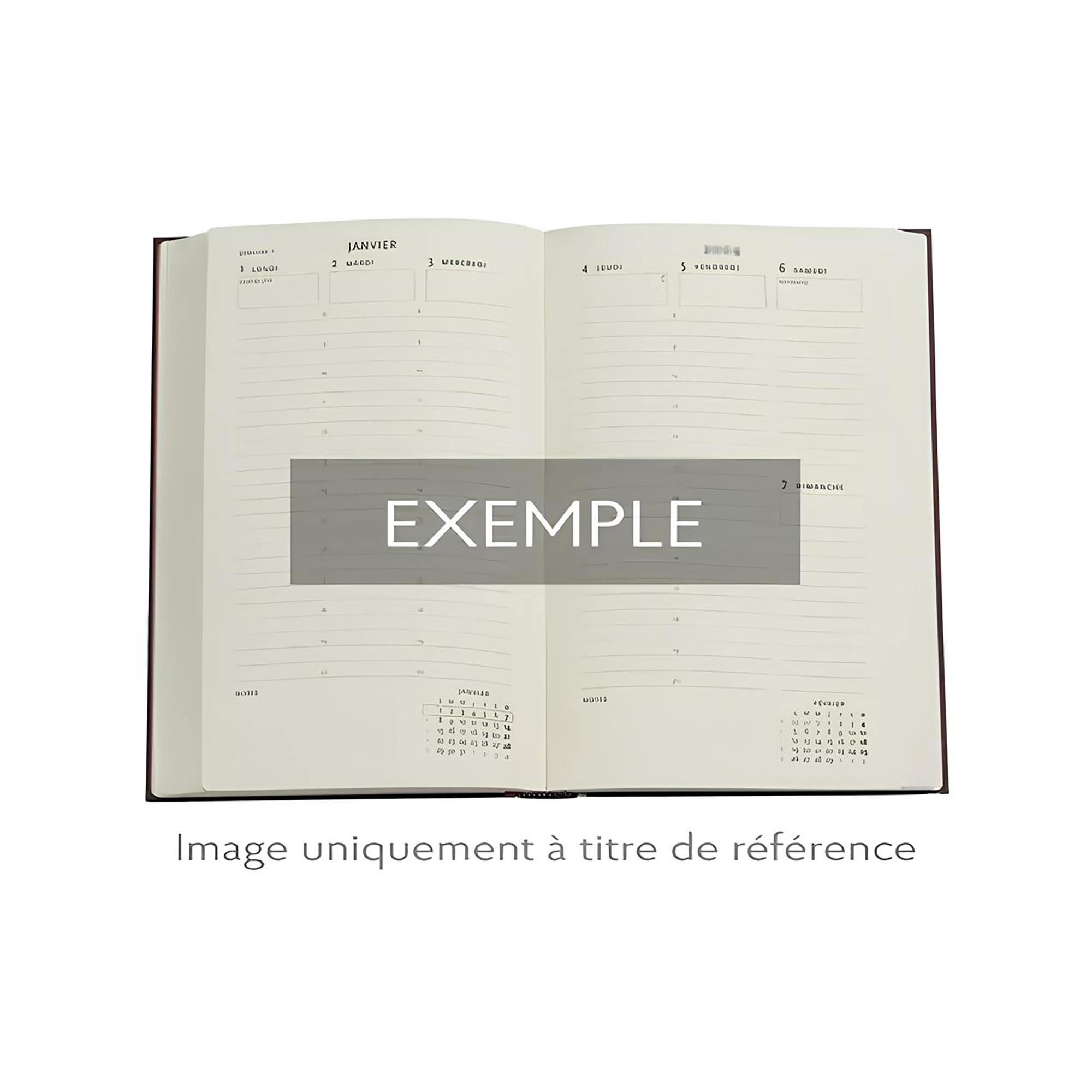 Paperblanks Agenda 2025 Renoir, Brief an Morisot