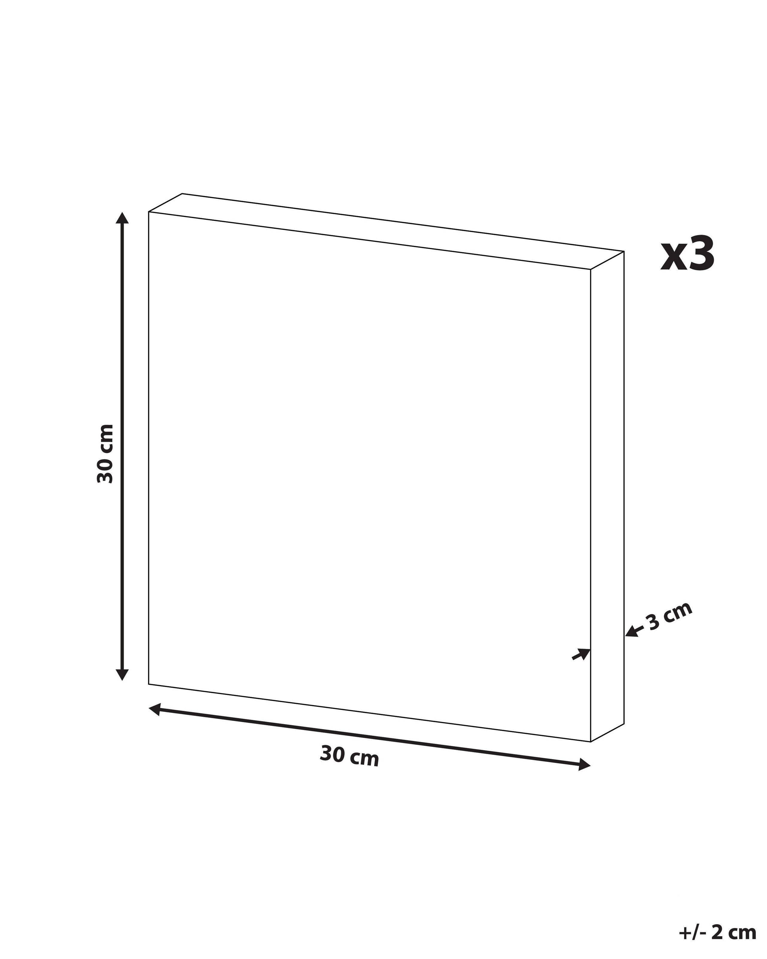 Beliani Leinwand 3er Set aus Polyester Modern TIMIA