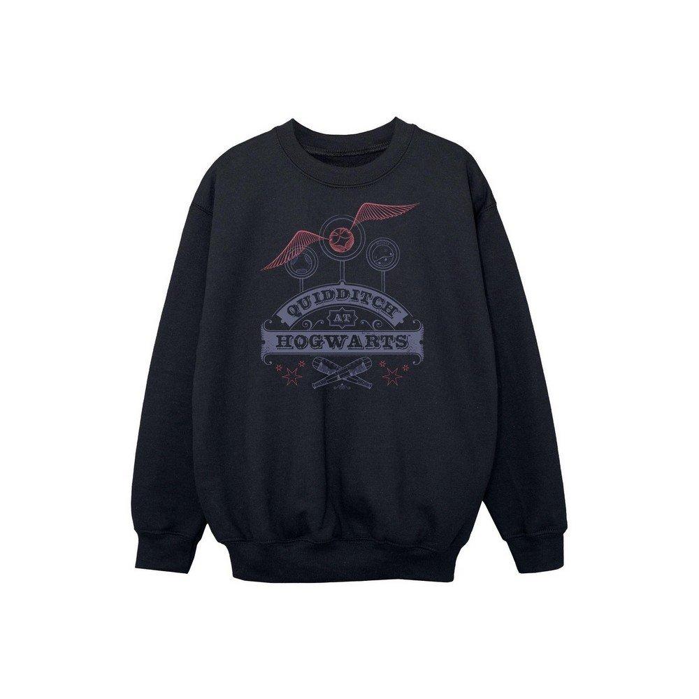 Harry Potter Quidditch At Hogwarts Sweatshirt