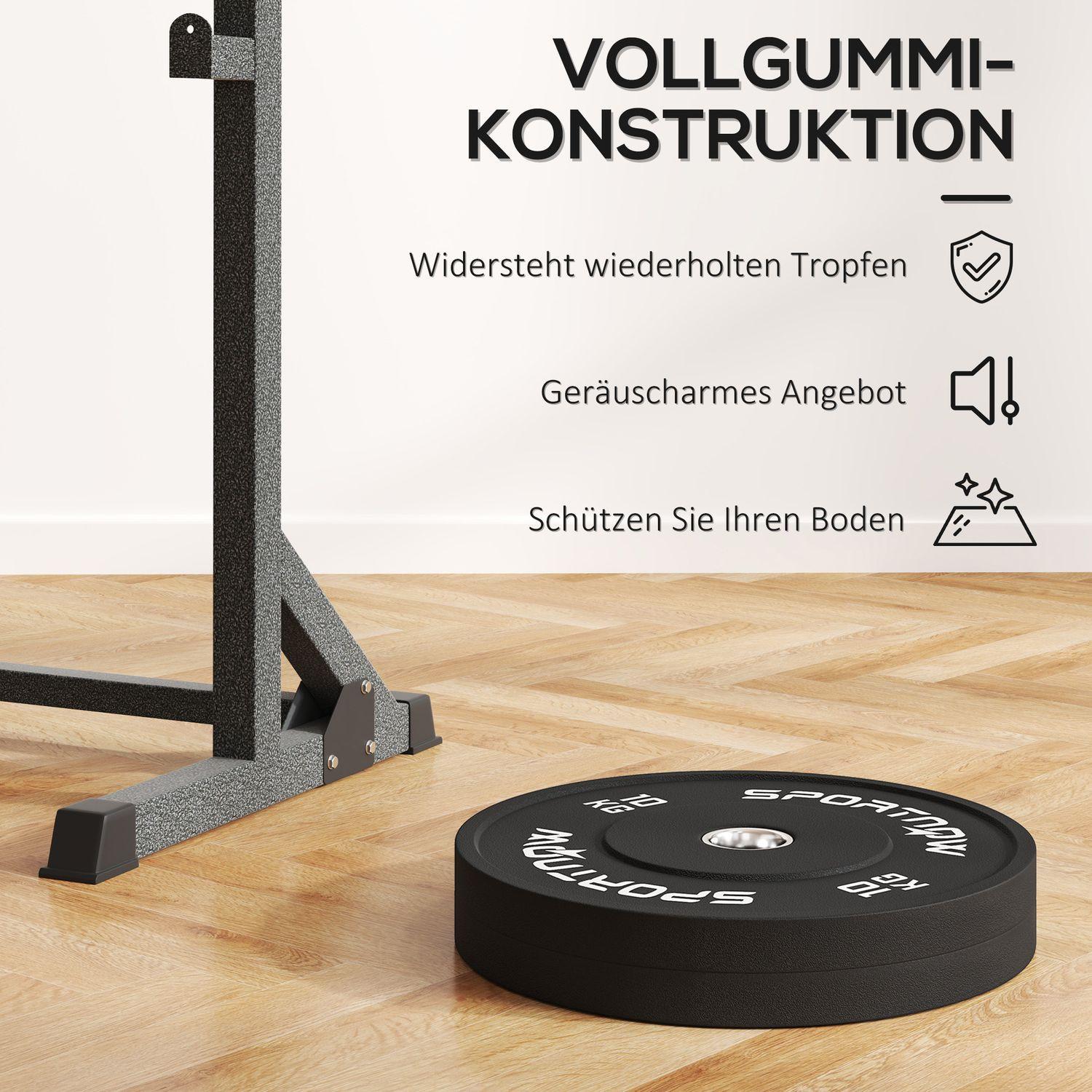 Northio 2er-Set Hantelgewichte, 2 x 10kg Gewichte, Hantelscheiben-Set, Gewichtsscheiben für 5 cm Hantelstange, Ø 50 mm Bohrung, Schwarz