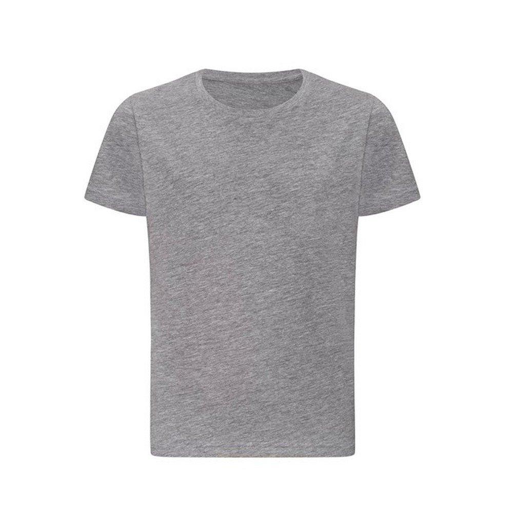 AWDis Just Ts The 100 TShirt