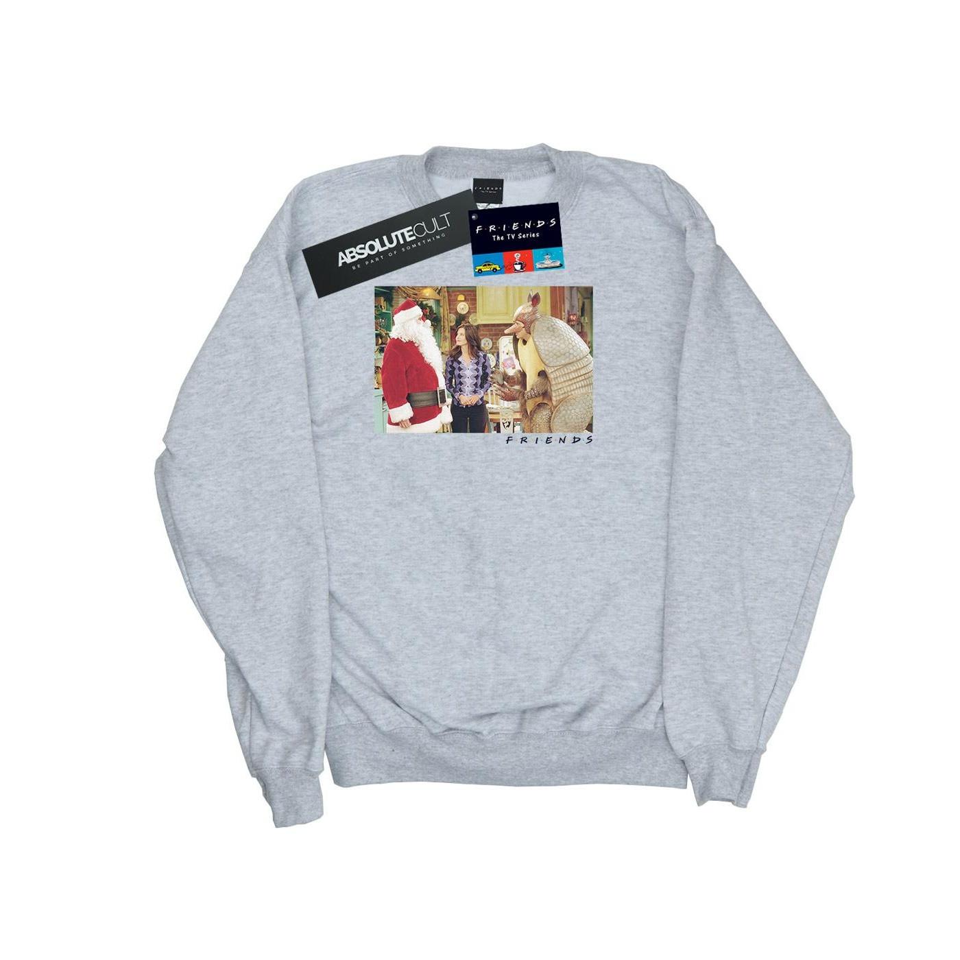 Friends The Holiday Armadillo Sweatshirt