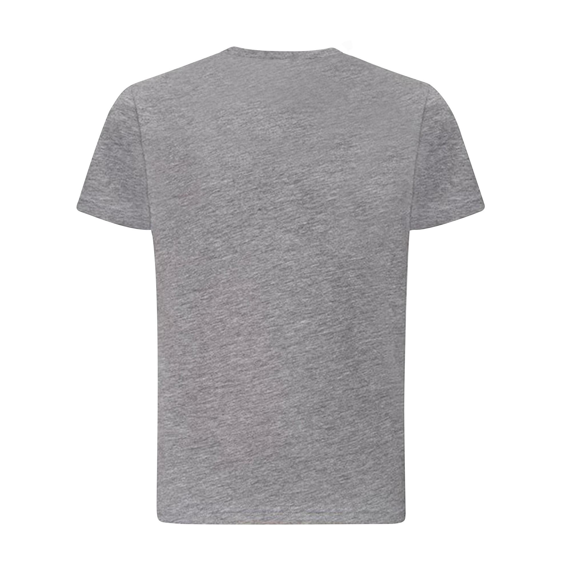 AWDis Just Ts The 100 TShirt