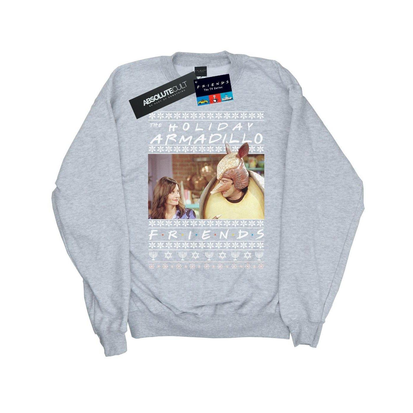 Friends Holiday Armadillo Sweatshirt