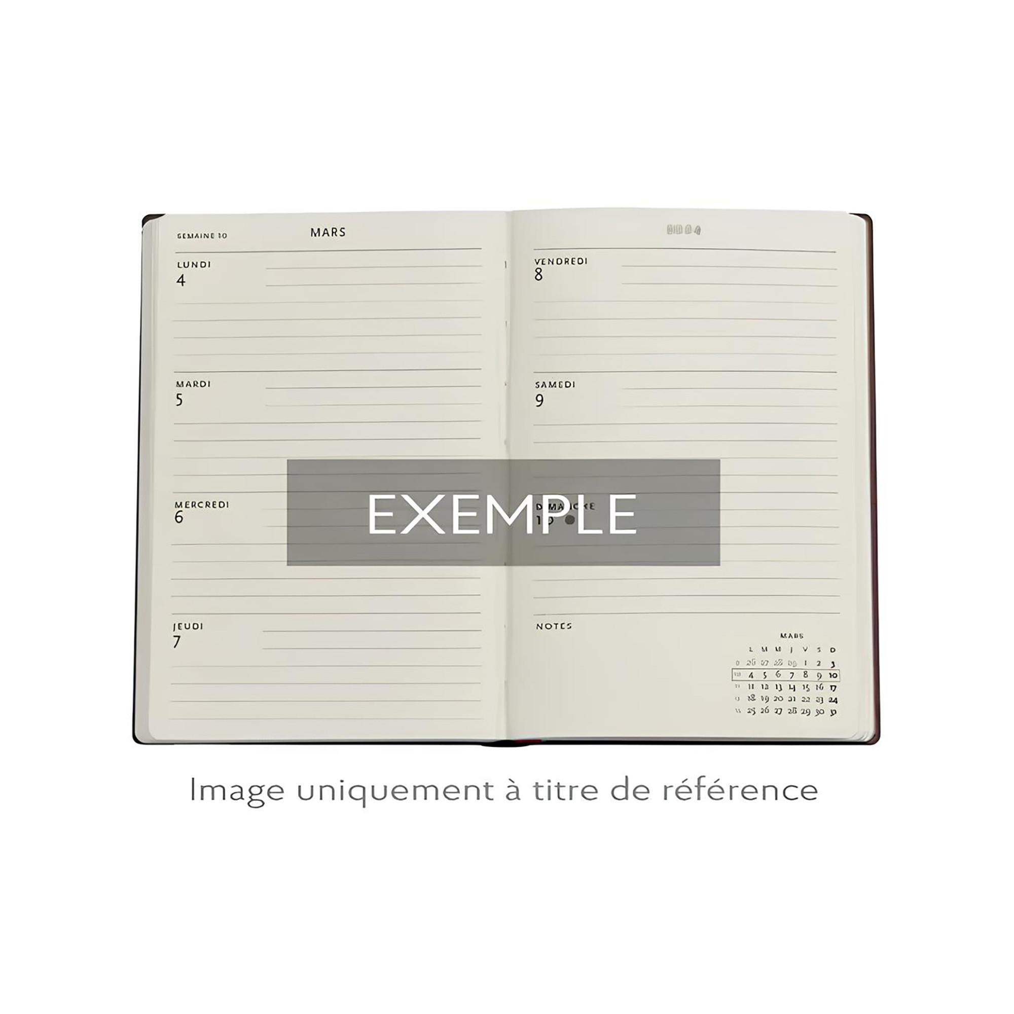 Paperblanks Agenda 2025 Asterix und Obelix