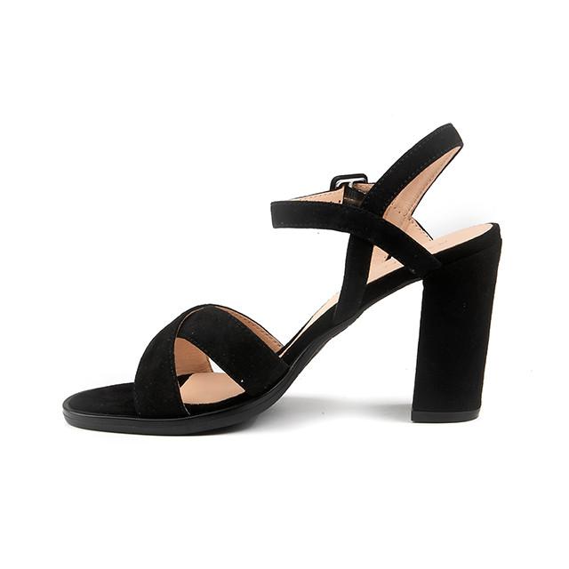 Ralph Harrison Eva-40