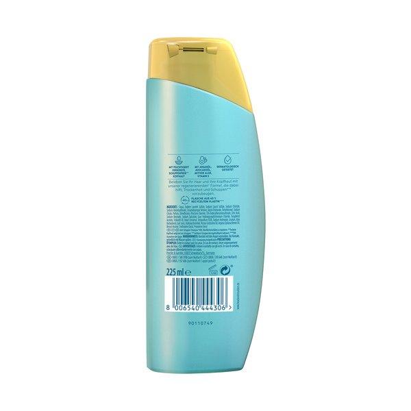 head & shoulders Derma x Pro Shampoo Repair Shampoo