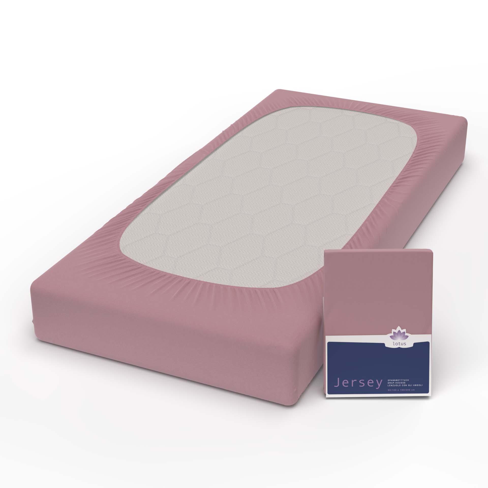 Lotus Bettwaren Lotus Jersey Fixleintuch Comfort