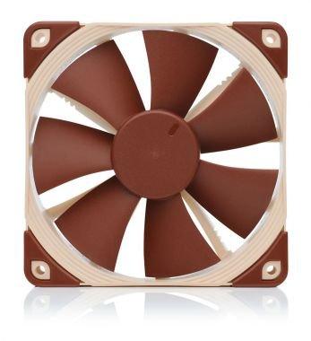 Noctua Noctua