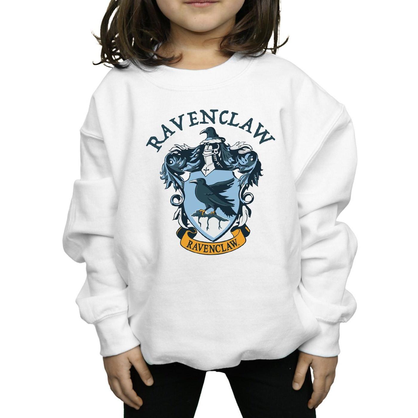 Harry Potter Sweatshirt