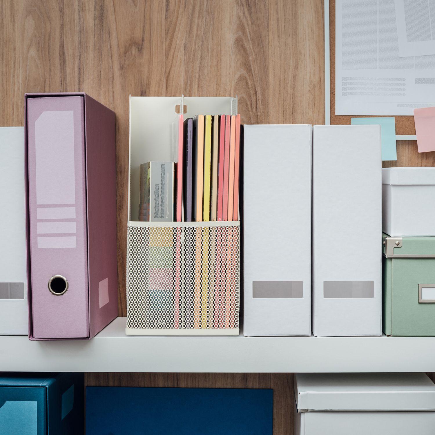 B2X Zeitschriftensammler mit 2 Fächern