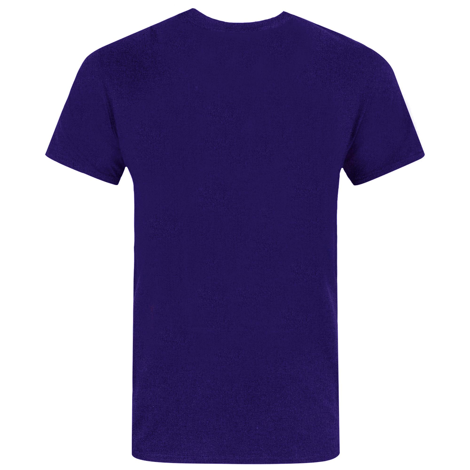 DC COMICS Flash Distressed Logo T-Shirt