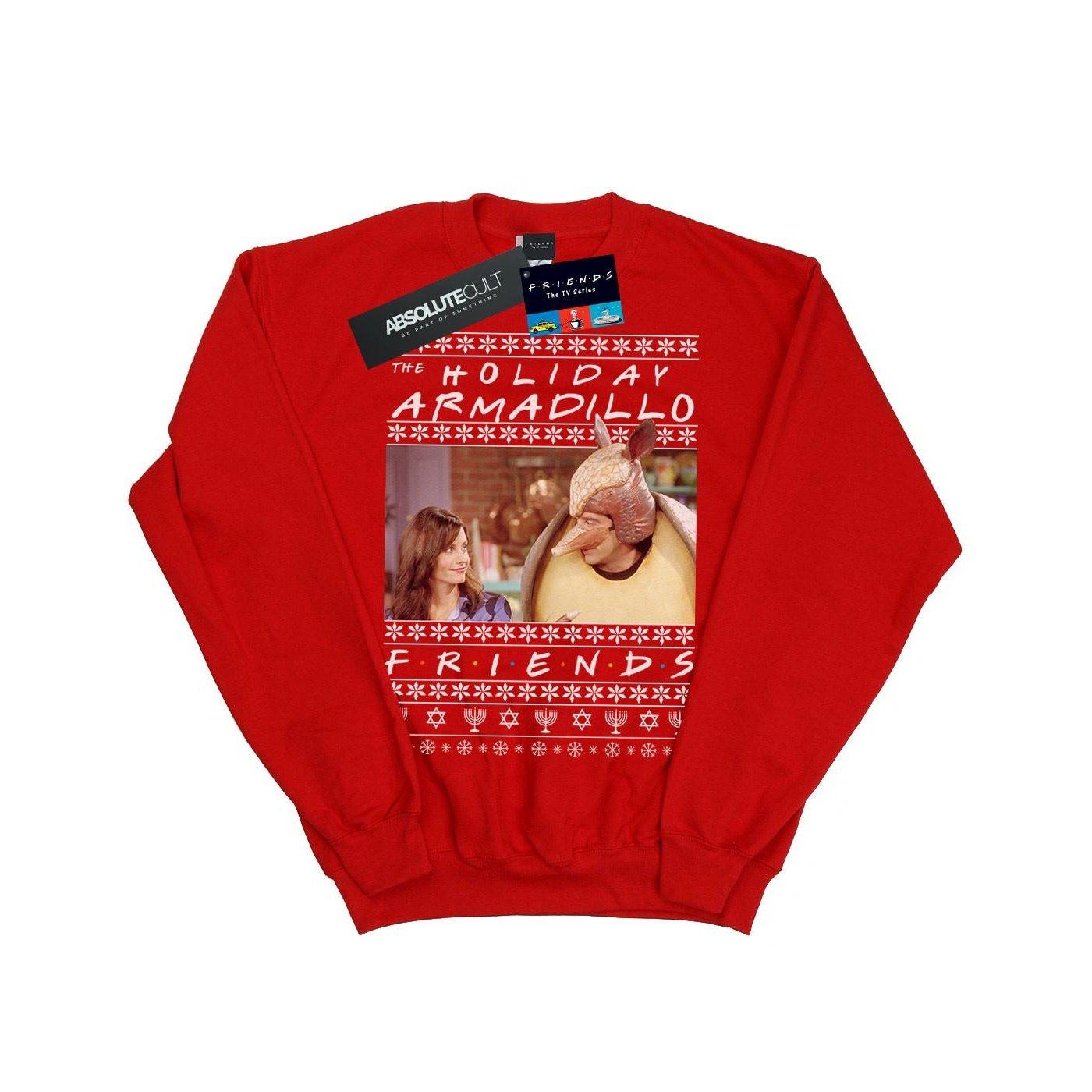 Friends Holiday Armadillo Sweatshirt