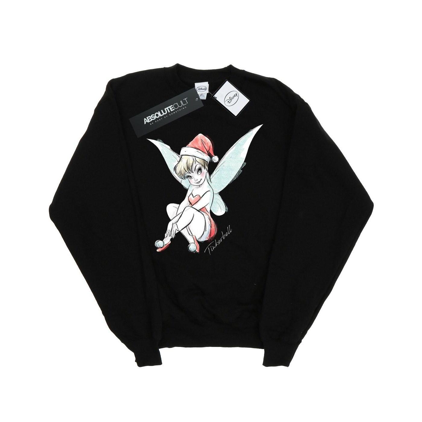 Disney Fairy Sweatshirt