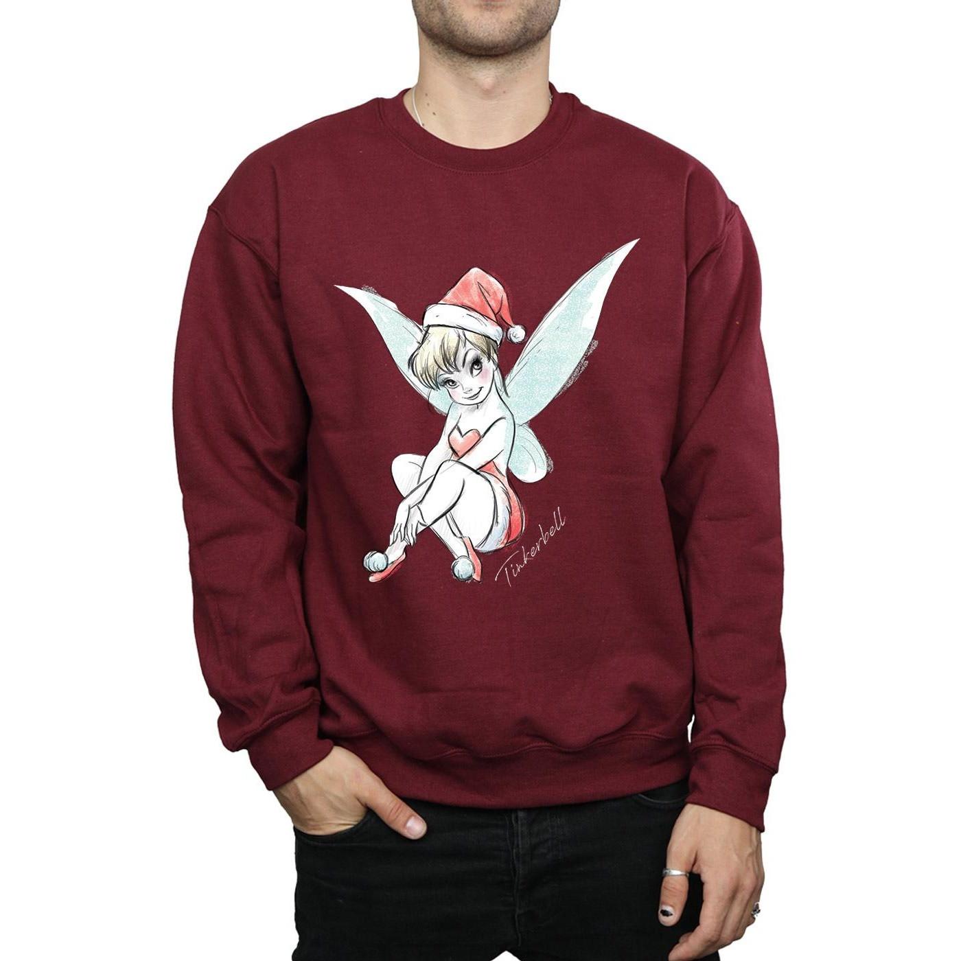 Disney Fairy Sweatshirt