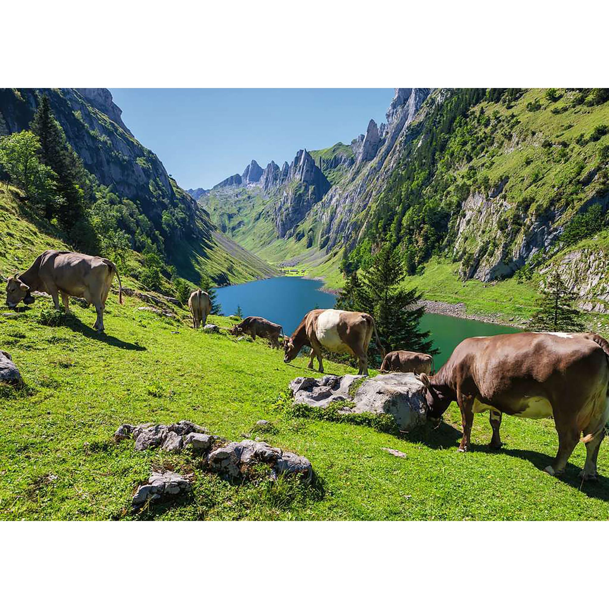 Ravensburger Fälensee, 1000 Teile