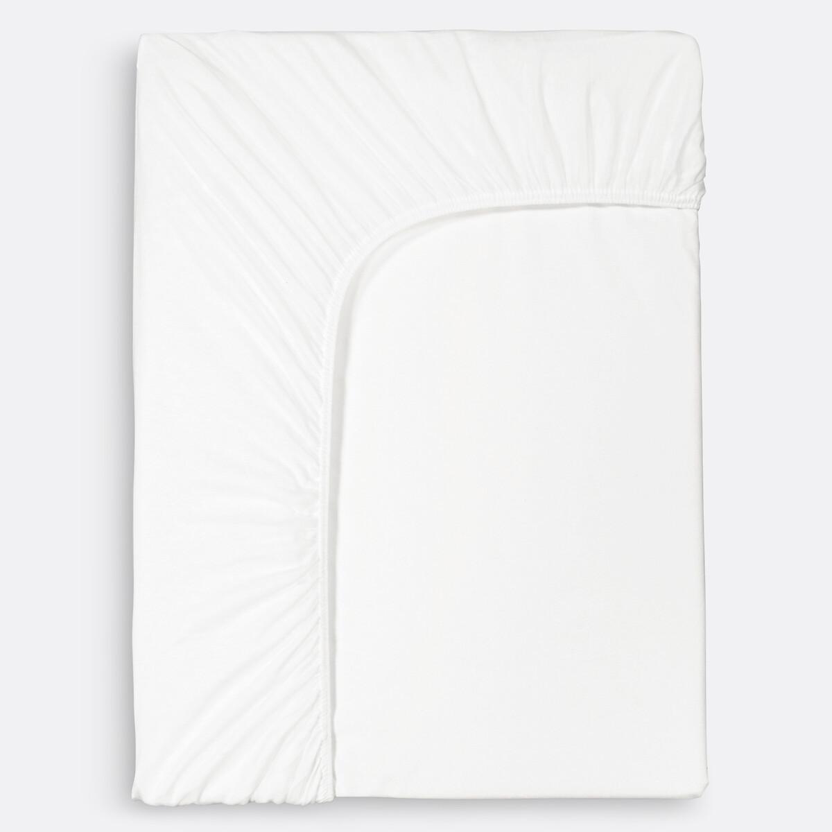 La Redoute Intérieurs Matratzenschutz aus wasserdichtem Baumwollmolton H30cm