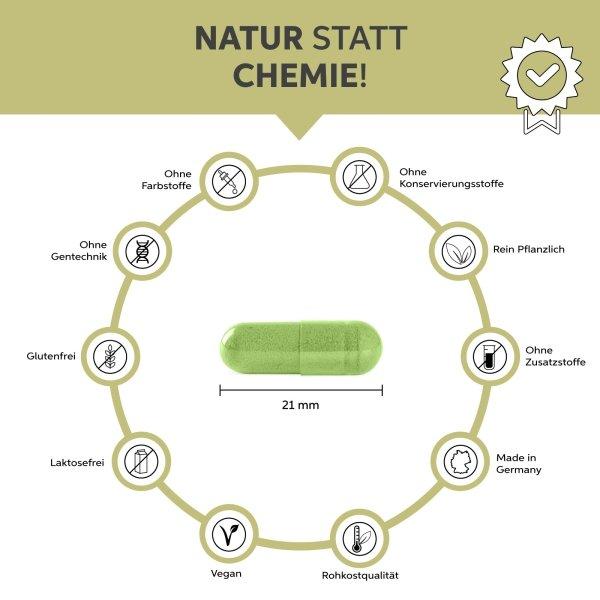 Eltabia Bio Moringa Kapseln
