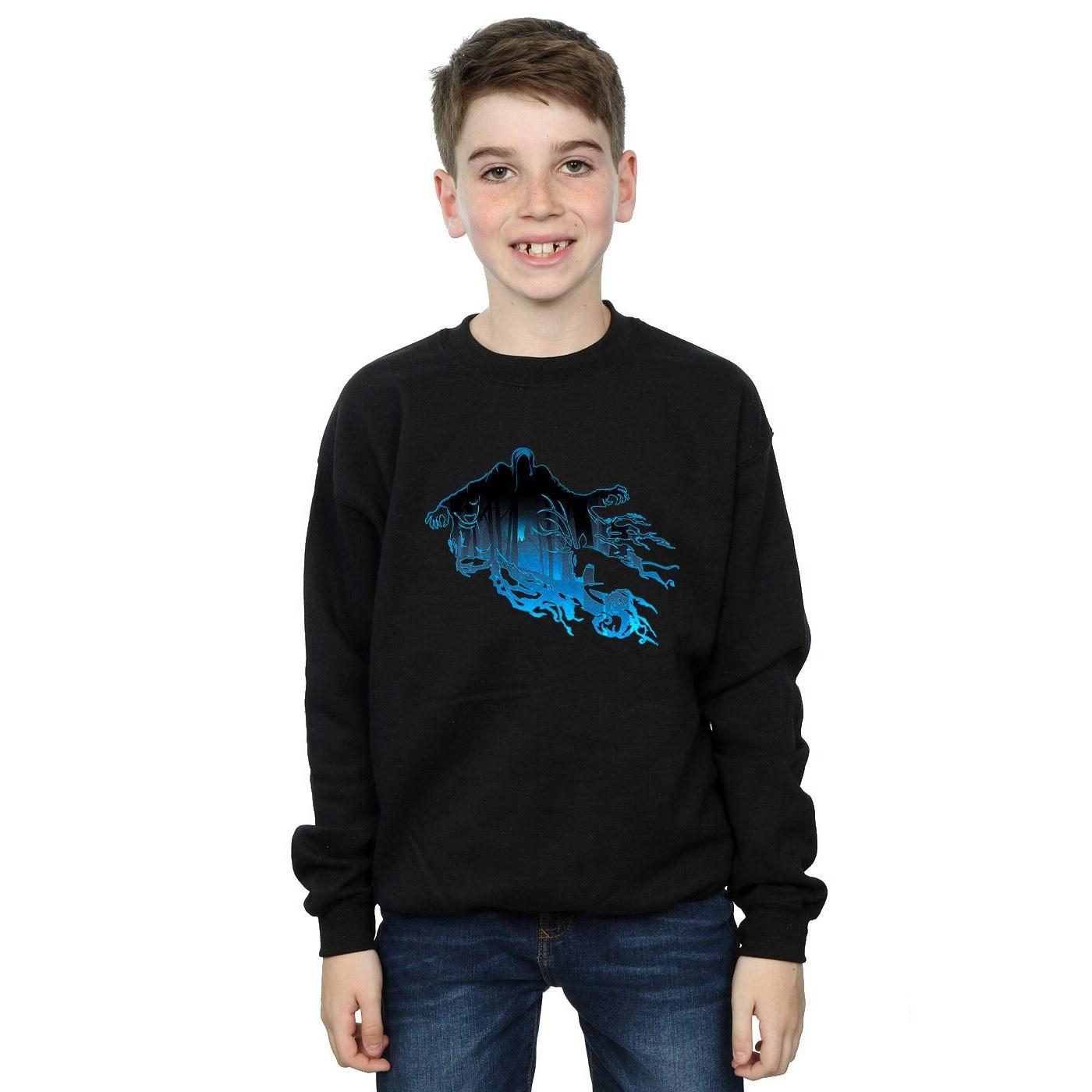 Harry Potter Sweatshirt