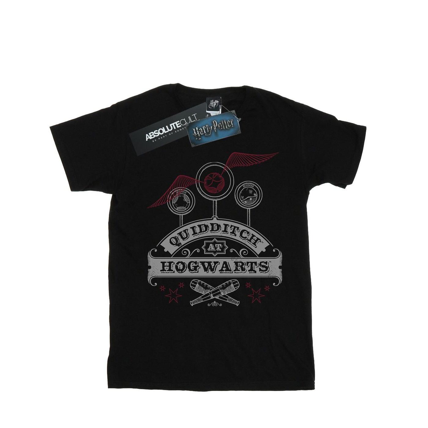 Harry Potter Quidditch At Hogwarts T-Shirt
