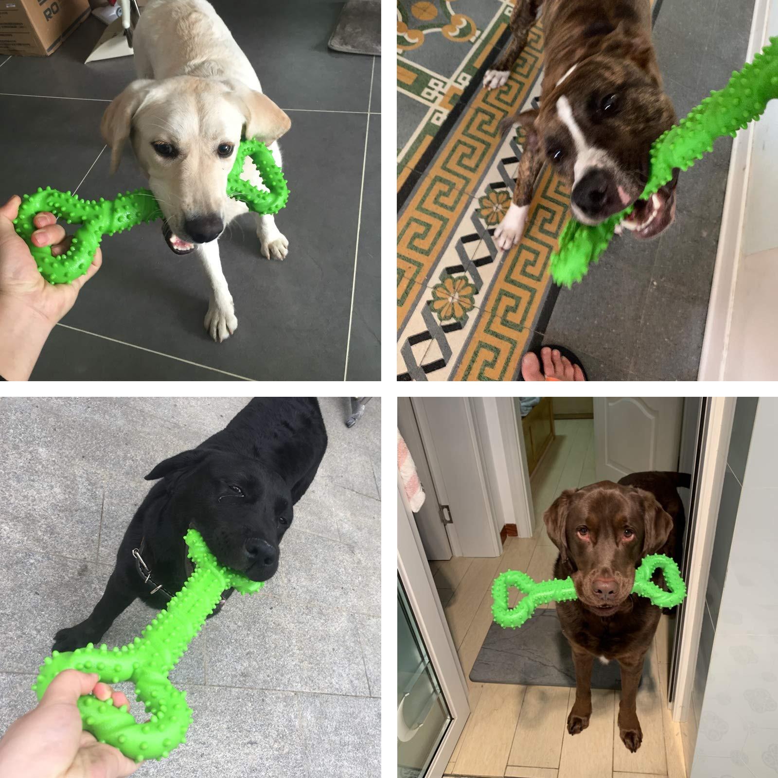 Alopini Robustes Hundespielzeug in Form eines Kauknochens aus Hartgummi mit konvexem Design