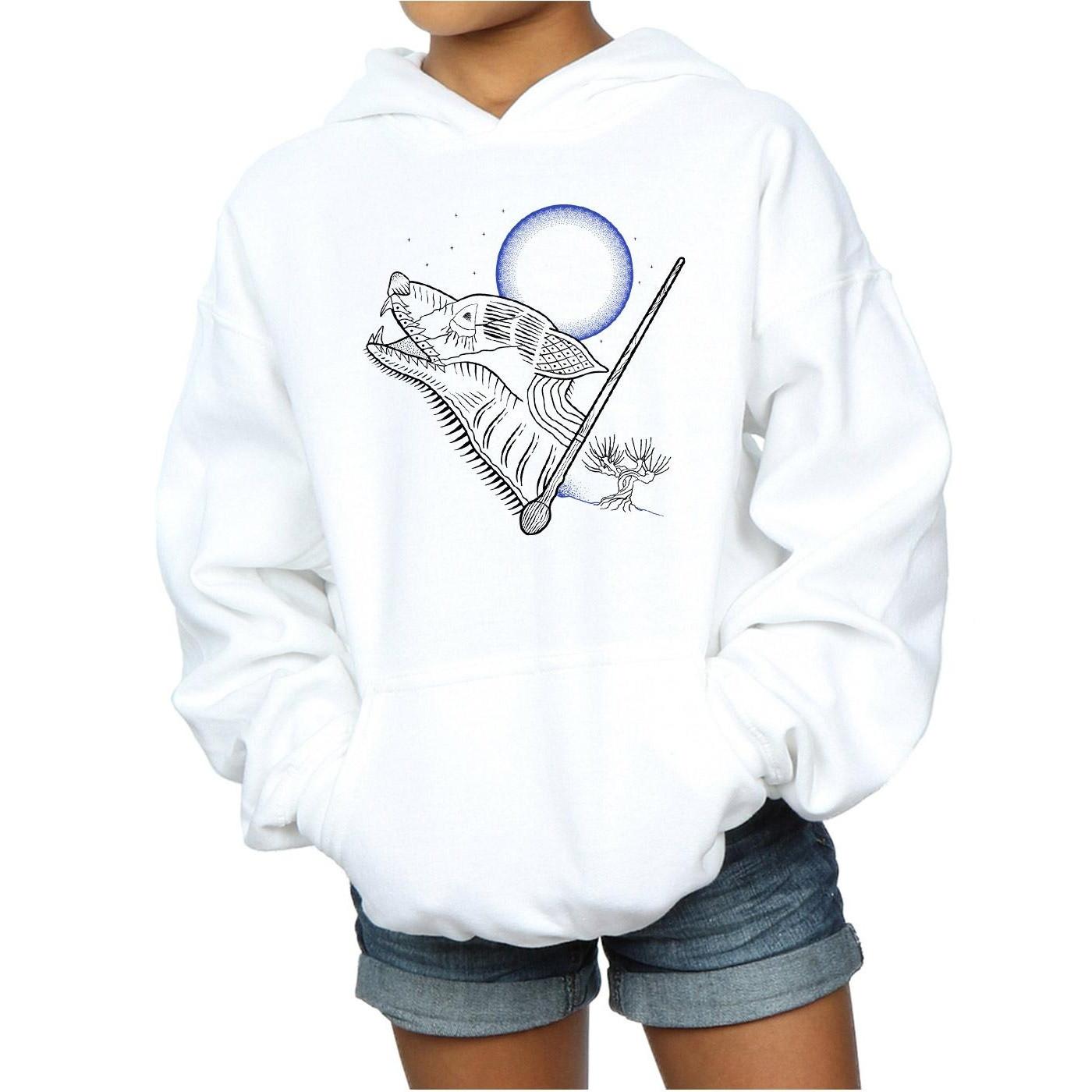 Harry Potter Kapuzenpullover