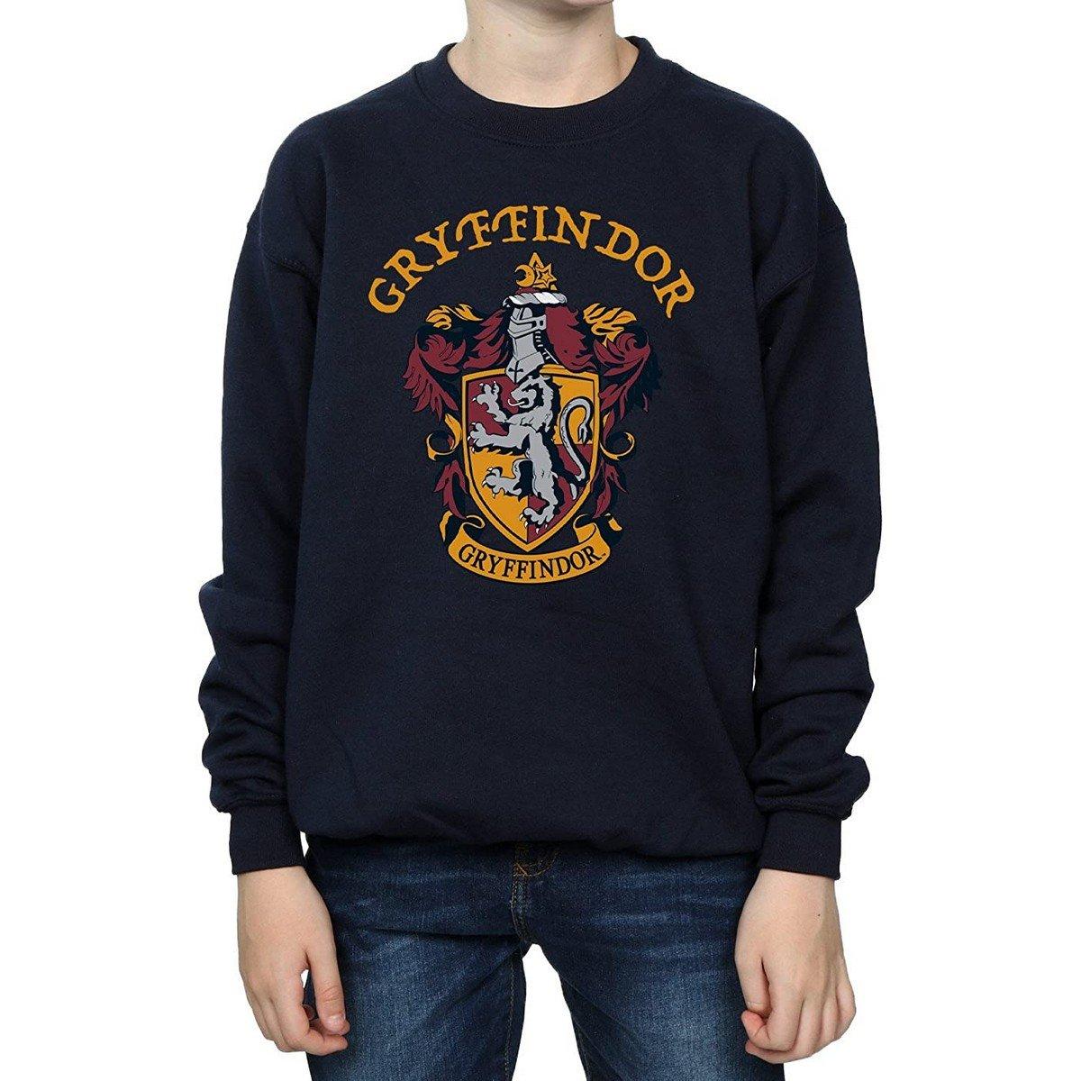 Harry Potter Sweatshirt