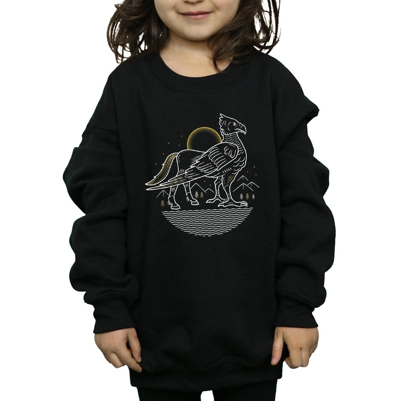 Harry Potter Sweatshirt