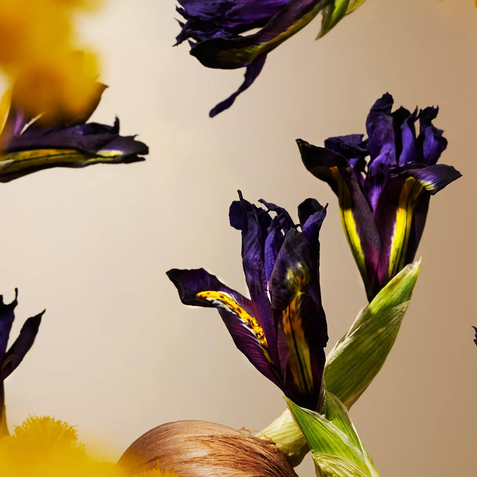 RITUALS Refill Scented Candle Private Collection Orris Mimosa