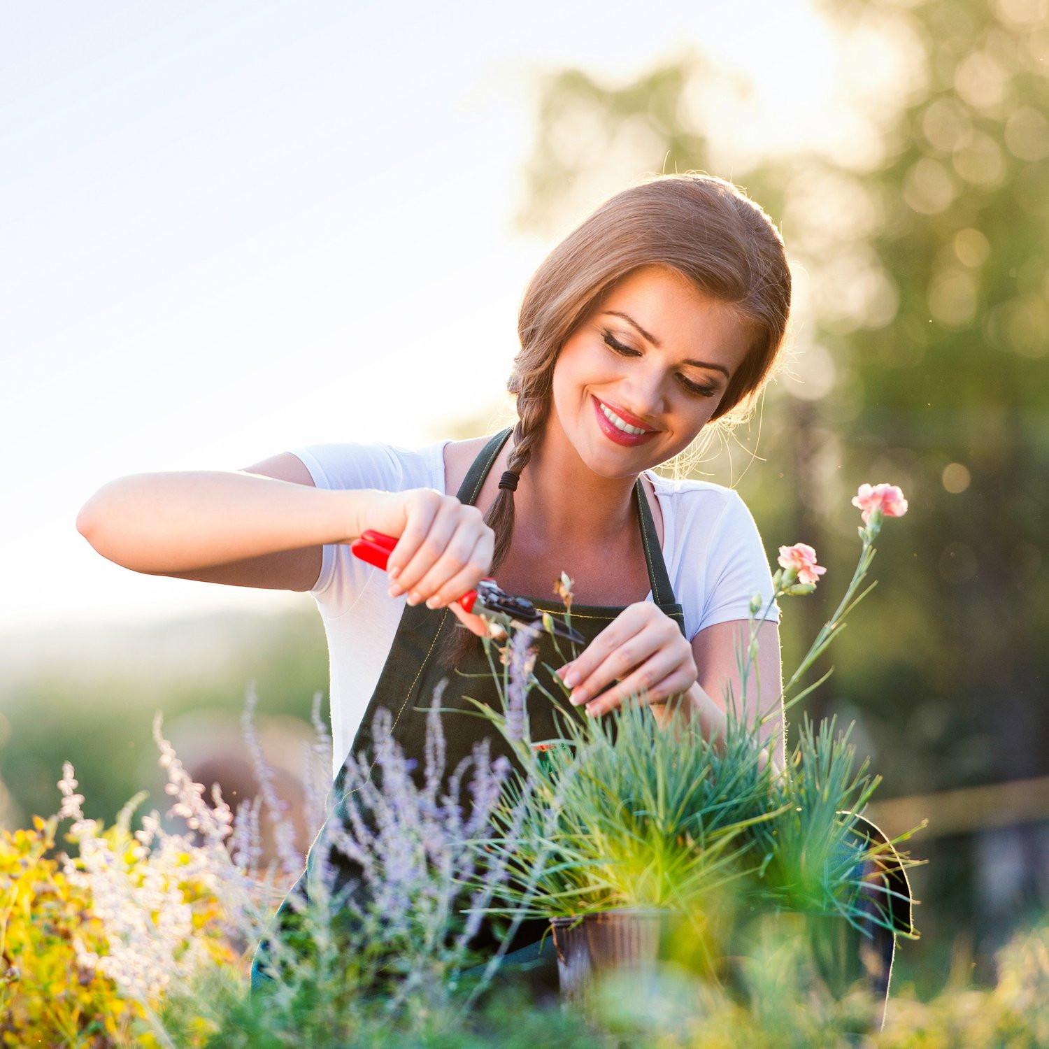 Northix Geflammter Pflanzkasten mit Spalier