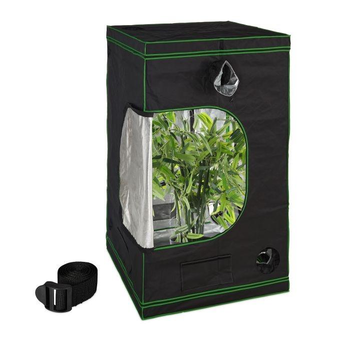 Northio Growbox drinnen anbauen