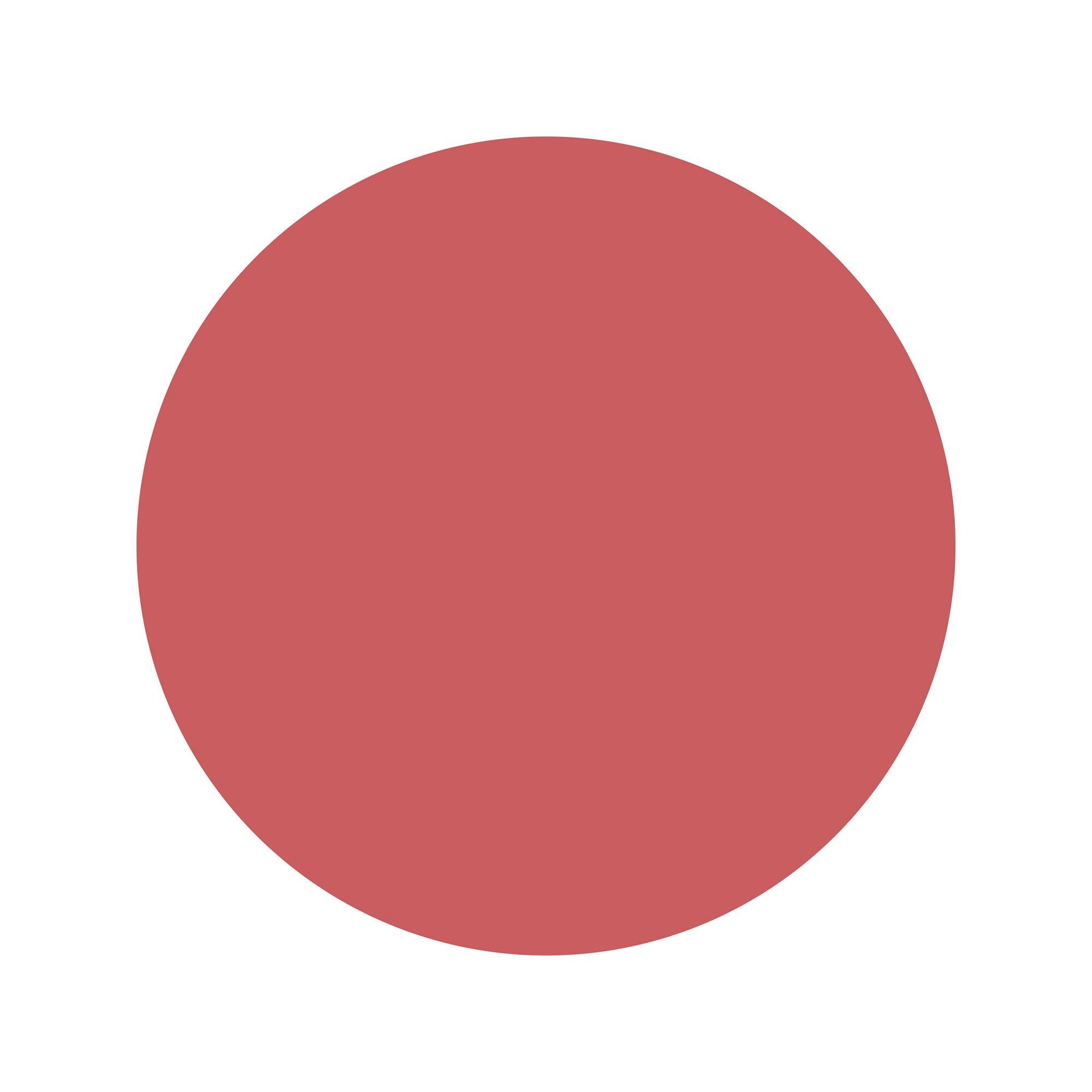 WYCON Shiny Lipstick