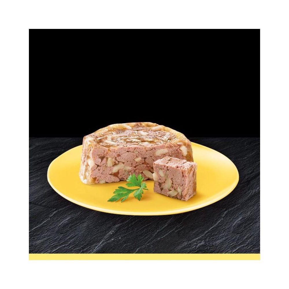 Cesar Senior Multipack