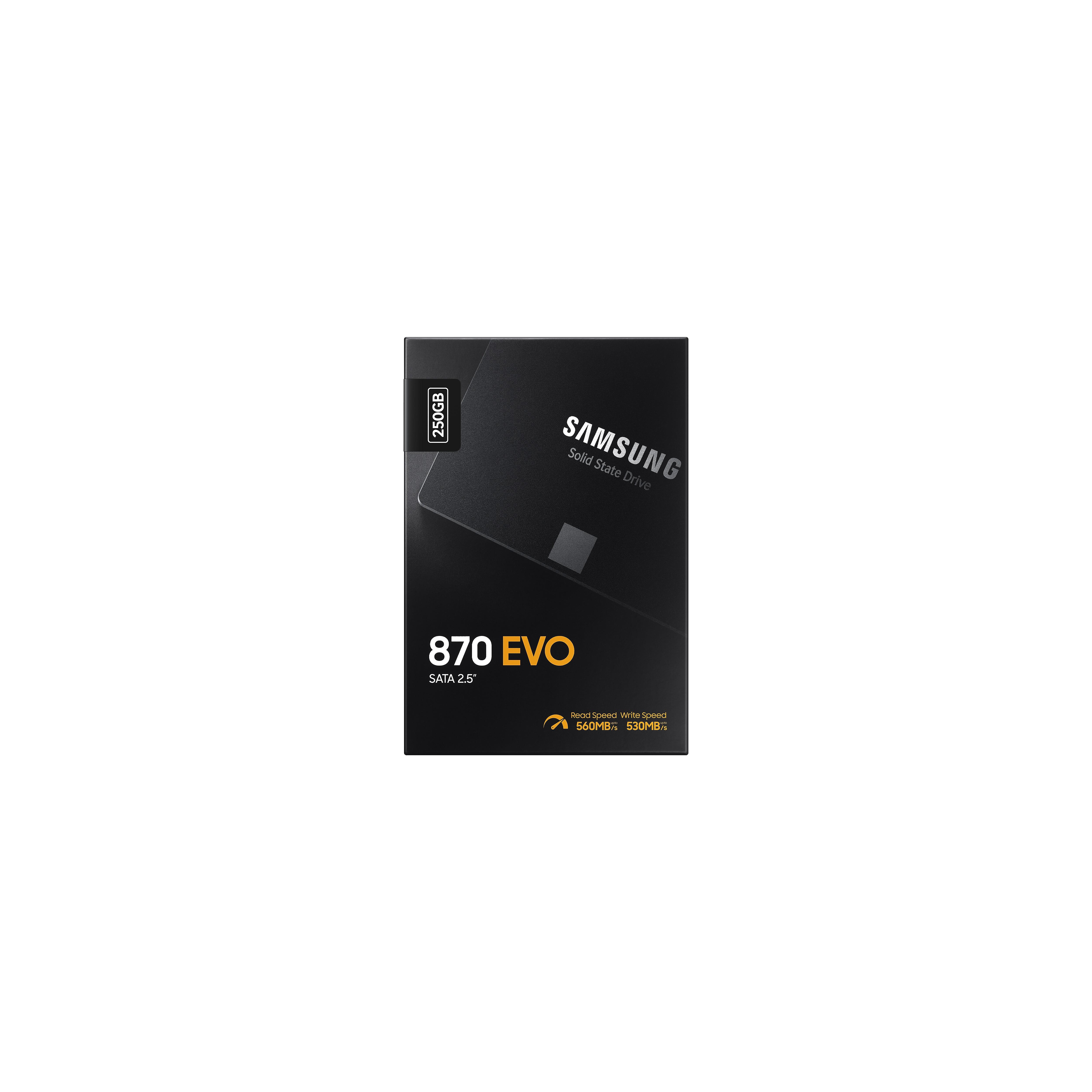 SAMSUNG SSD 870 EVO 250 GB SATA III 2.5 ZOLL