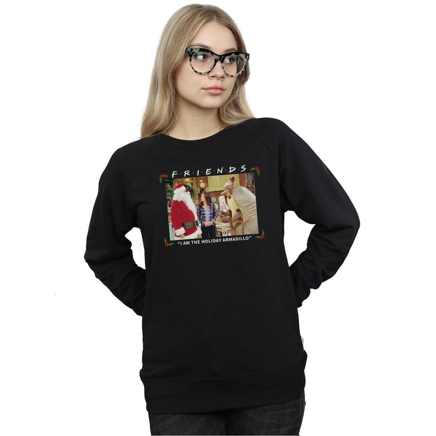 Friends I Am The Holiday Armadillo Sweatshirt